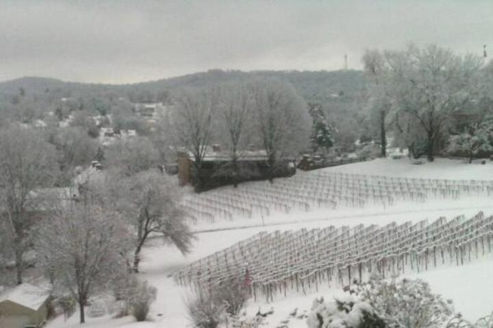 Hotel View 11 of 21