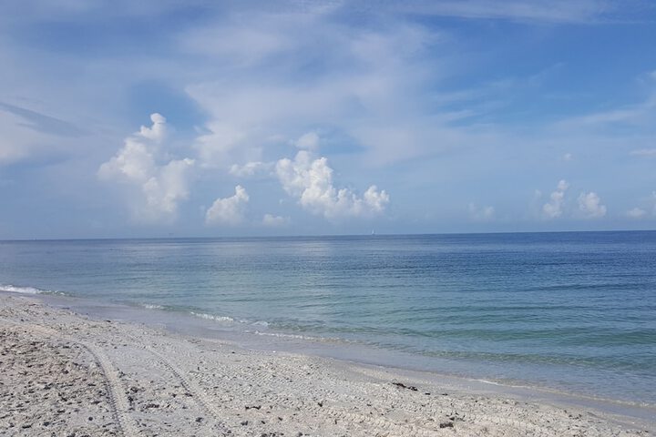 Beach 198 of 236