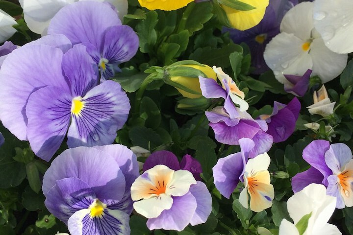 Hotel Exterior 102 of 115