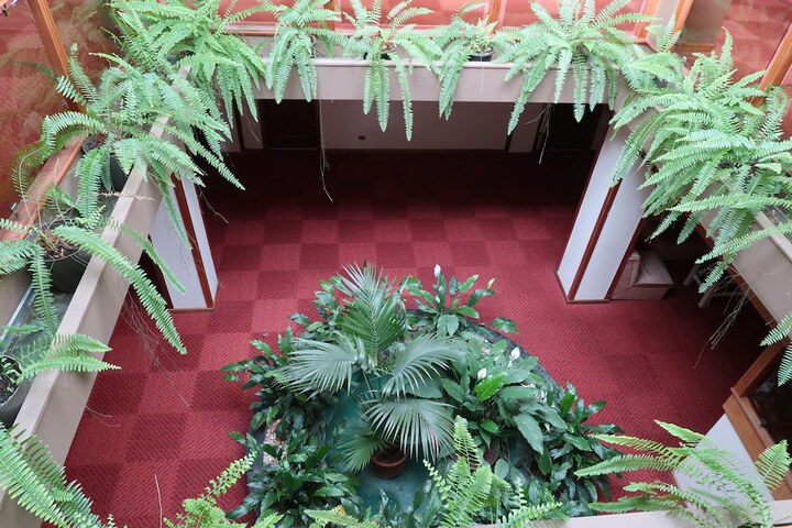 Ballroom/Hall 29 of 36