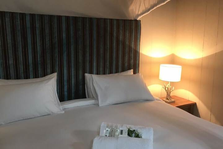 Room 6 of 41