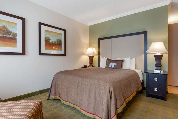 1 Queen Accessible Comm Assist Roll in Shower Microwave, Refrigerator Full Breakfast (4 of 18)