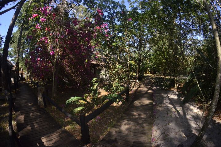 Property Grounds 41 of 43