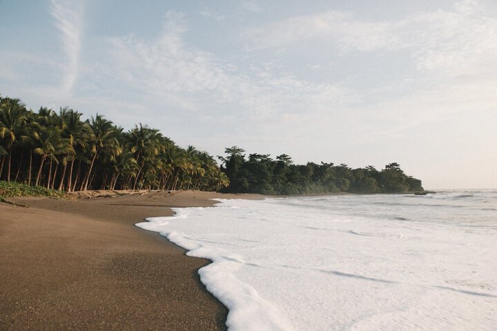 Beach 63 of 75
