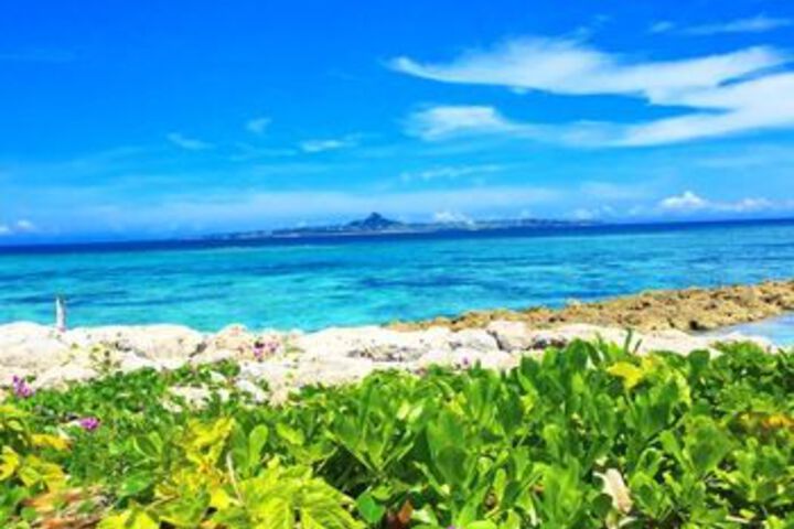 Beach or Ocean View