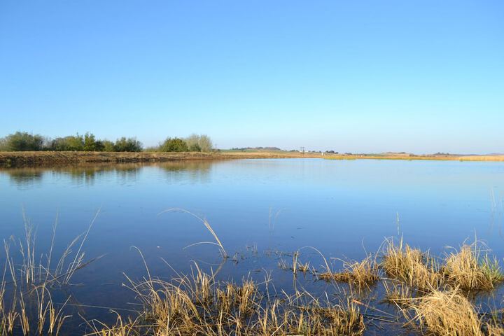 Property Grounds 1 of 12