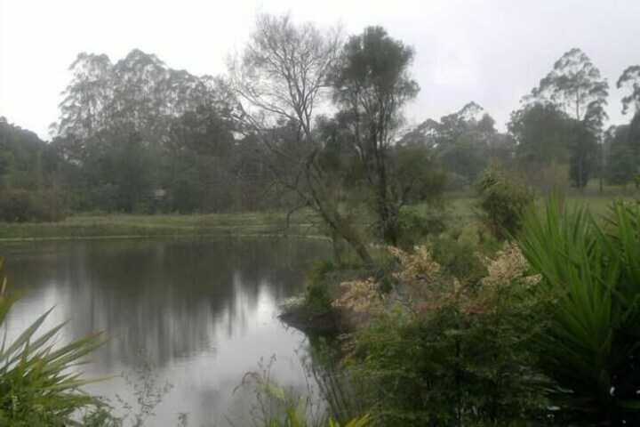 Property Grounds 19 of 29