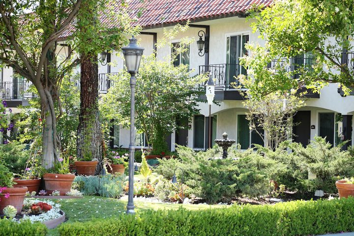 Garden view
