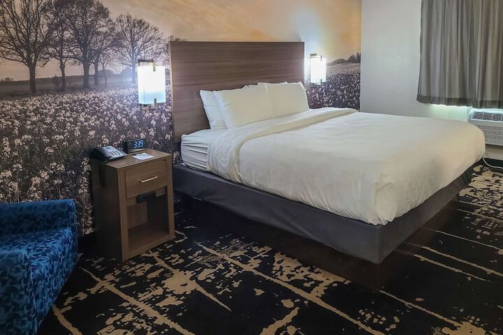 1 King Bed (11 of 14)