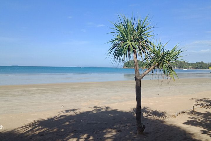 Beach 75 of 100