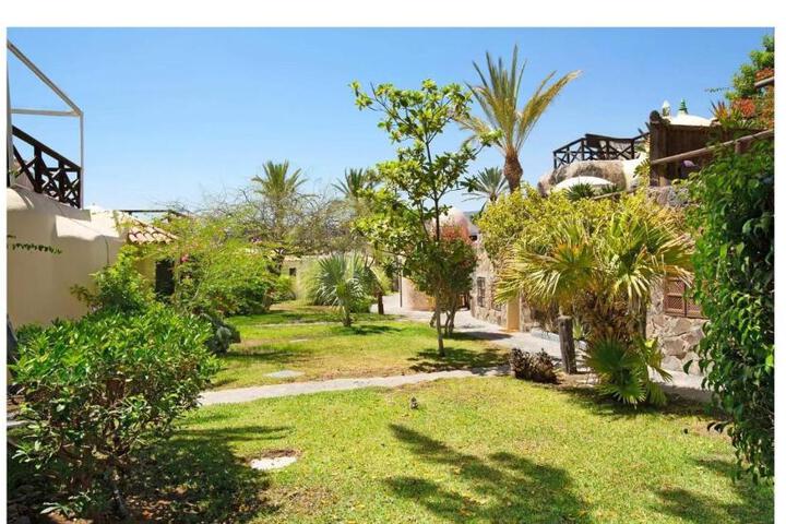 General 37 of 37
