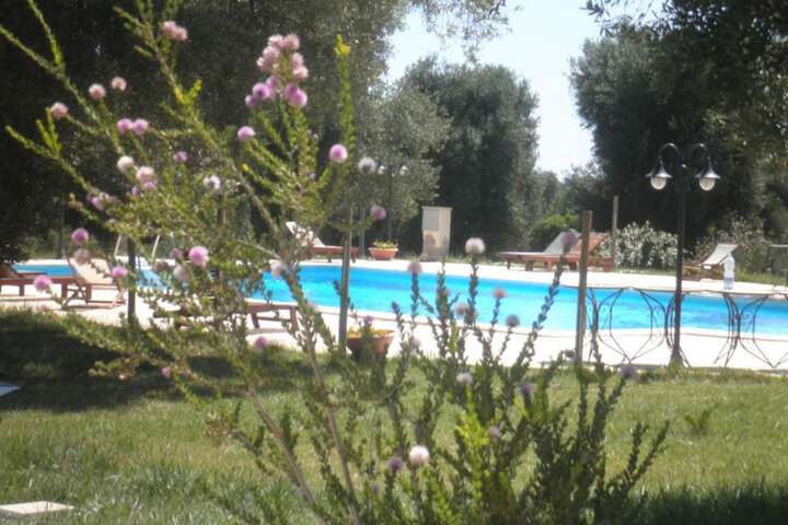 Pool Photo