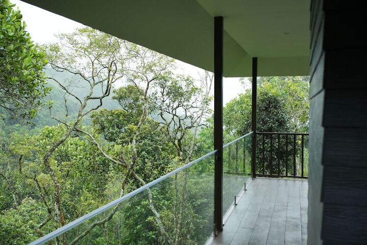 Terrace/Patio 54 of 56