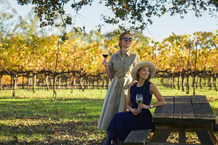 Vineyard