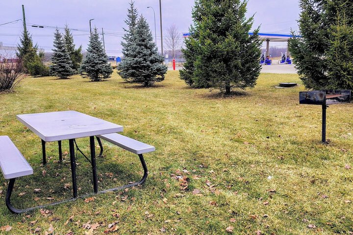 Property Grounds 30 of 32