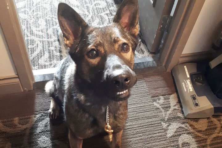 Pet Friendly 21 of 36