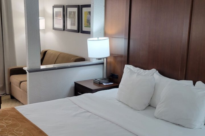 1 King Bed Suite (4 of 21)