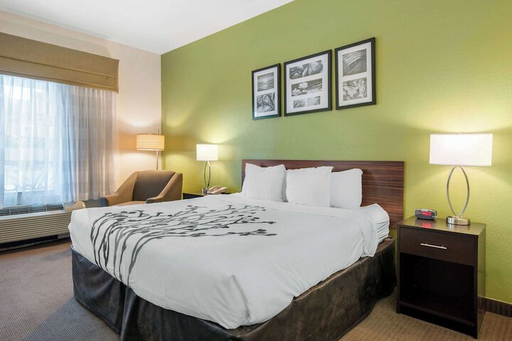 1 King Bed (8 of 18)