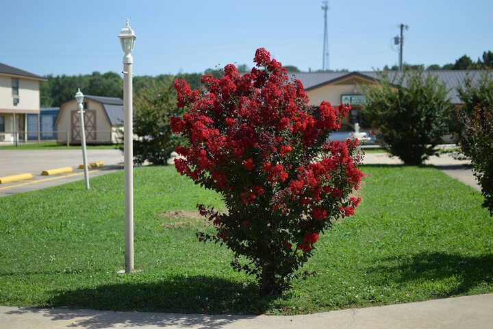 Property Grounds 35 of 50