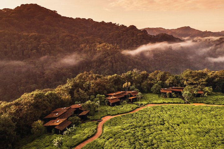 One & Only Nyungwe House