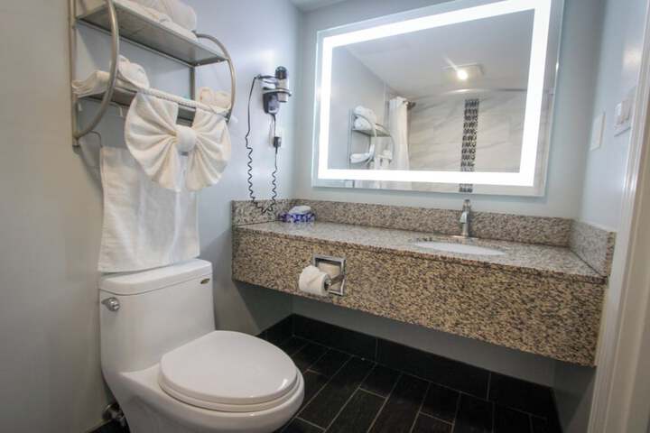 1 King Bed Pet Friendly Accessible (6 of 90)