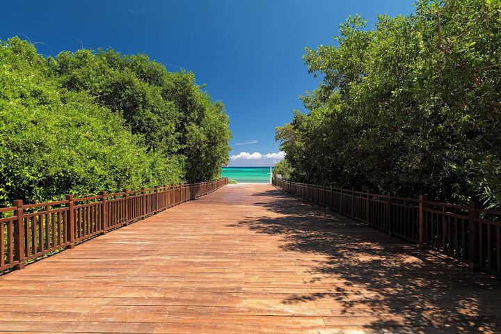 Beach 142 of 196