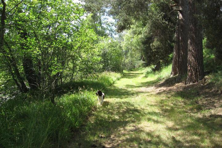 Photo 23