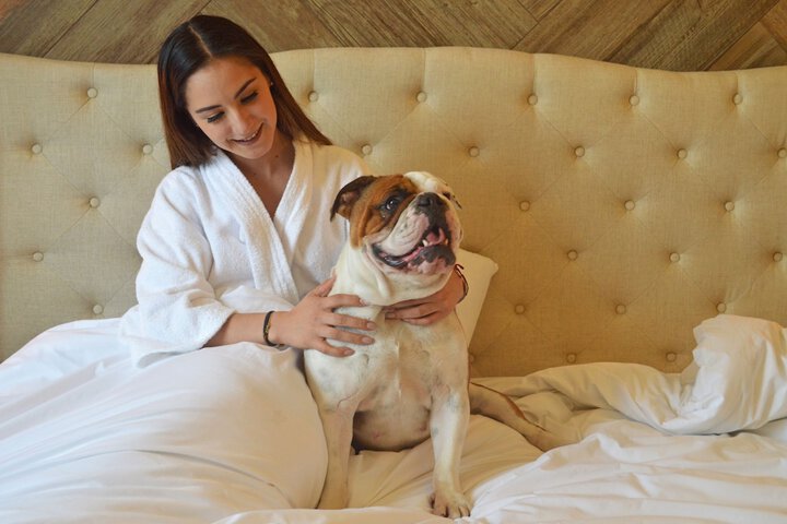 Pet Friendly 62 of 91