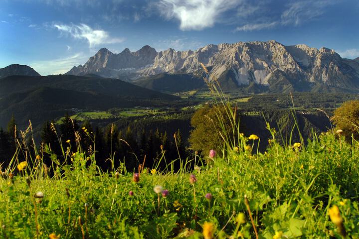 Mountain view