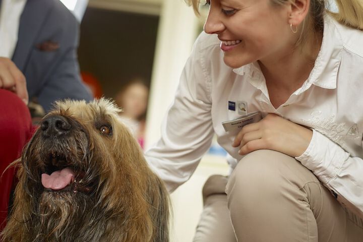 Pet Friendly 34 of 56