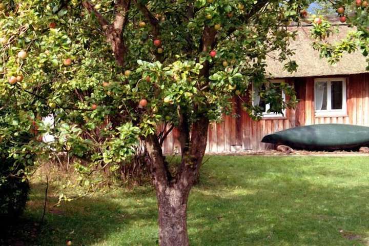 Property Grounds 39 of 58