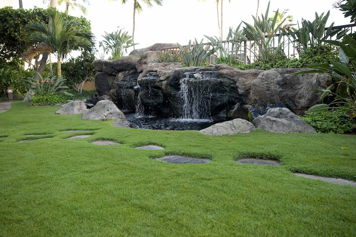 Property Grounds 42 of 78