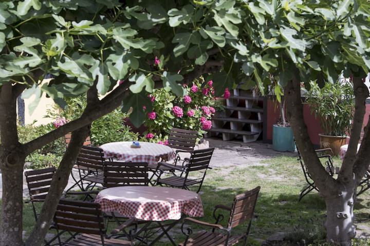 Terrace/Patio 46 of 51