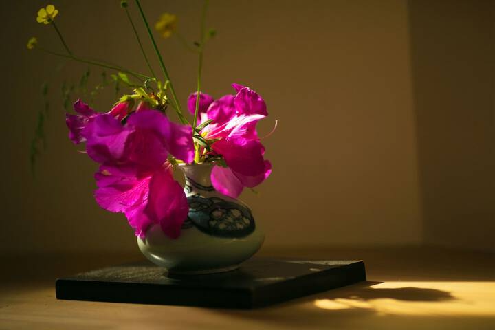 Room 19 of 80