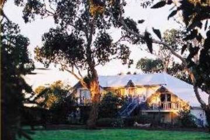 Manor Gums