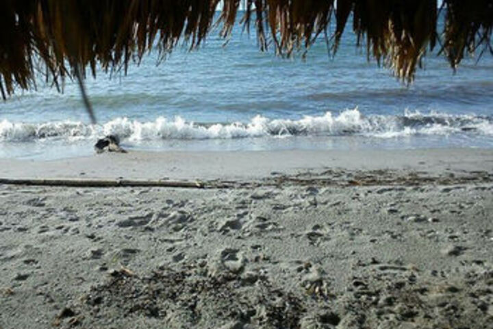 Beach 6 of 29
