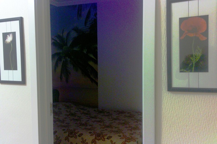 Room 6 of 54