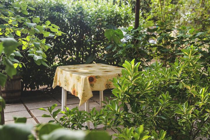 Terrace/Patio 41 of 80