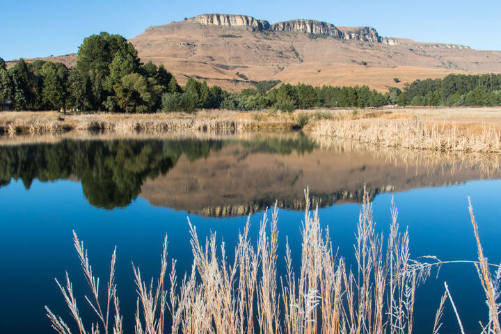 Property Grounds 80 of 92