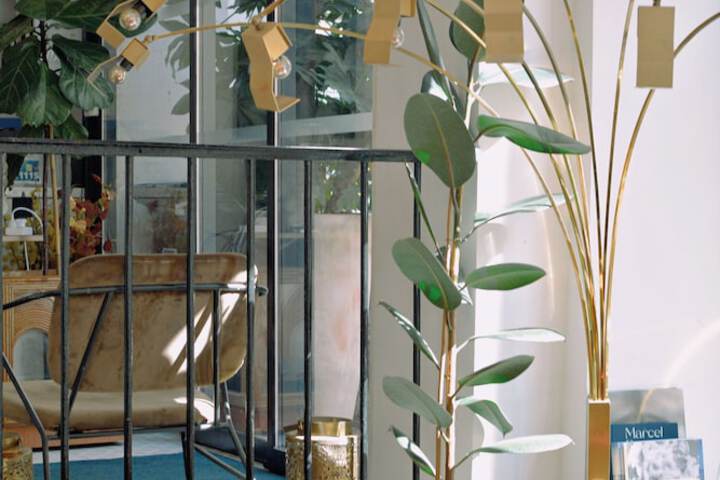 Entrance & Lobby
