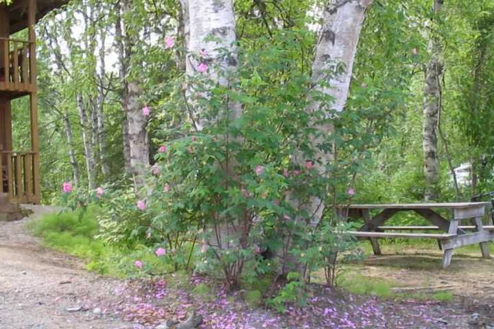 Property Grounds 21 of 32