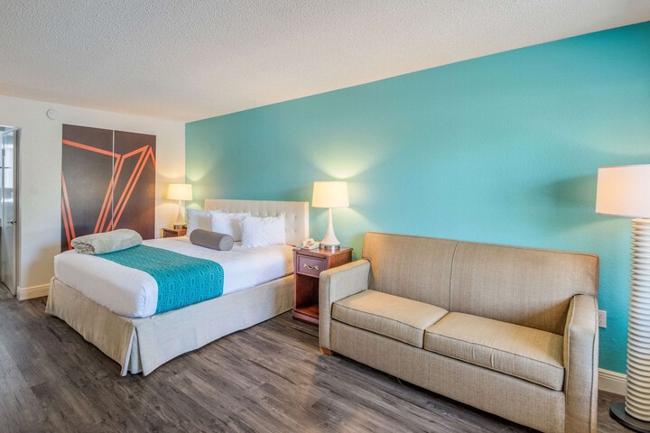 Standard | King Bed (9 of 16)