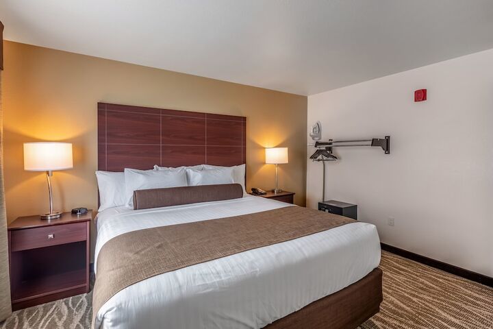 Mobility Accessible King Guestroom with Tub and Grab Bars (3 of 7)