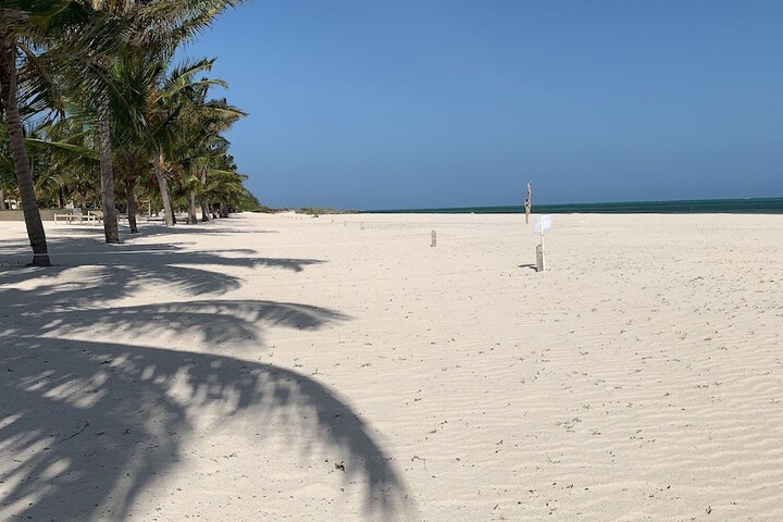 Beach 91 of 138