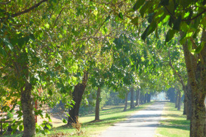 Property Grounds 24 of 24