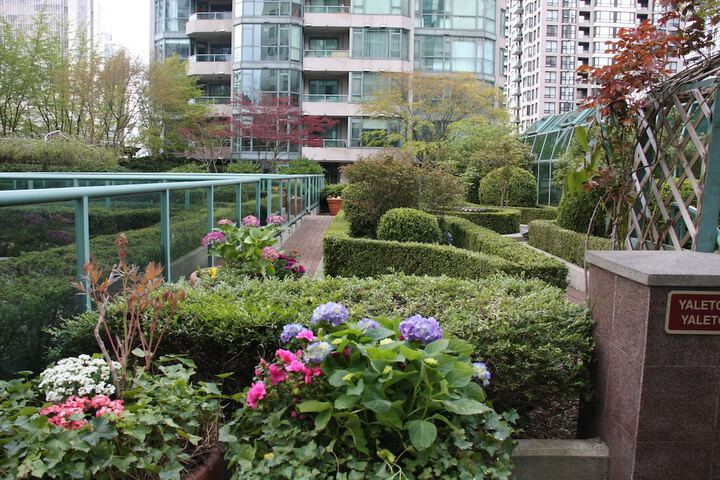 Terrace/Patio 34 of 36