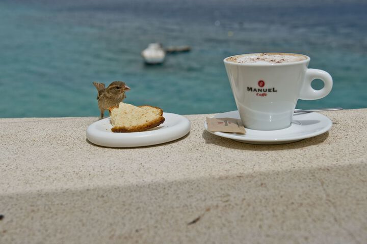 Breakfast/Coffee Service 37 of 60