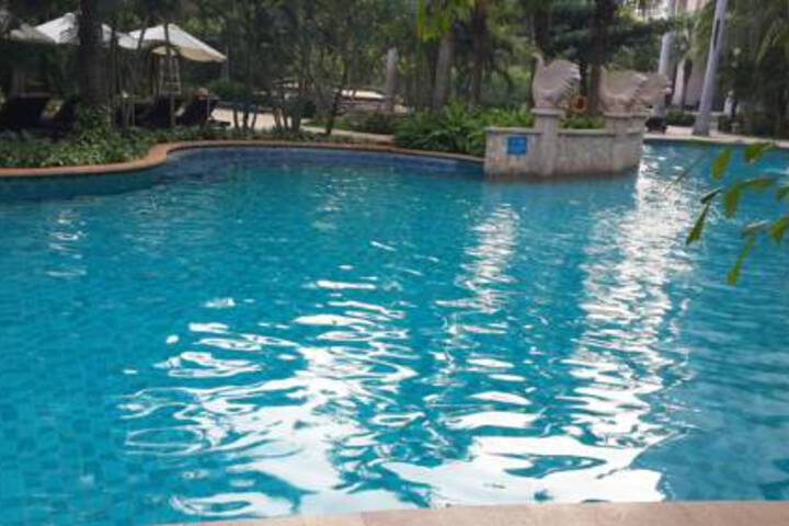 Pool 45 of 54