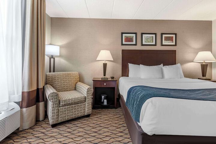 1 King Bed (3 of 10)