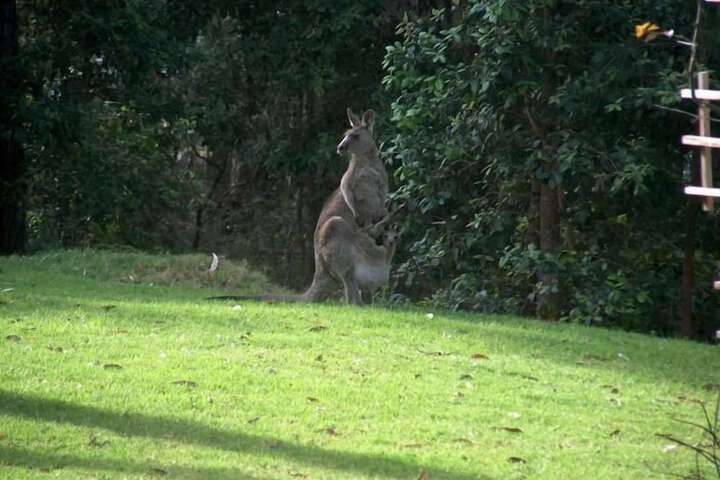 Property Grounds 12 of 15